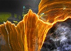 7828 PLD web
